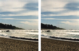 OCEAN2.GIF (45521 bytes)